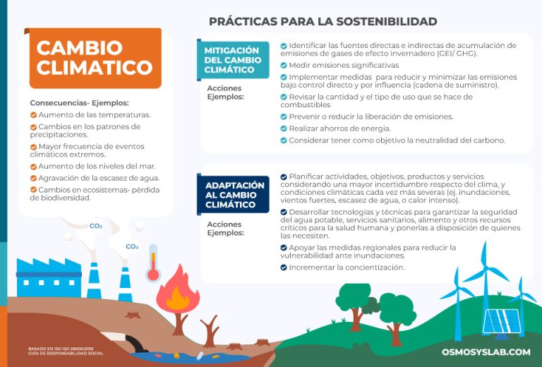 ¿Qué hacer para mitigar el cambio climático? Prácticas para la ...
